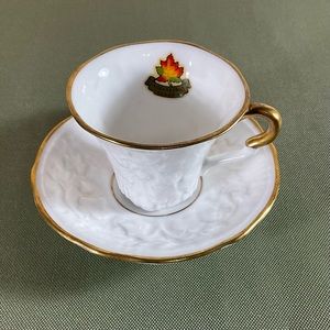 Royal Stafford Old English Oak Bone China Cup & Saucer Gold Trim Niagara Falls